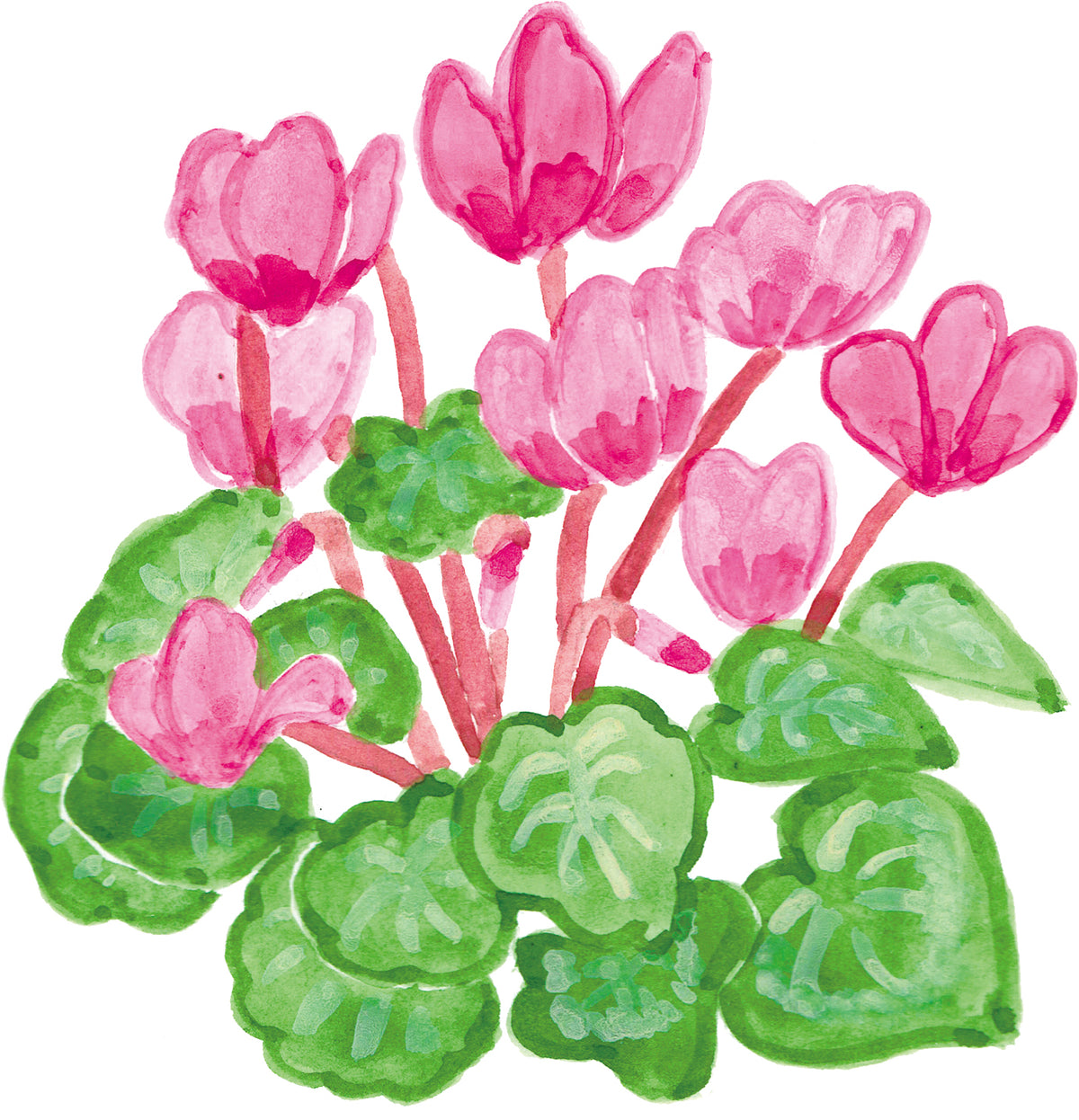 花束_シクラメン